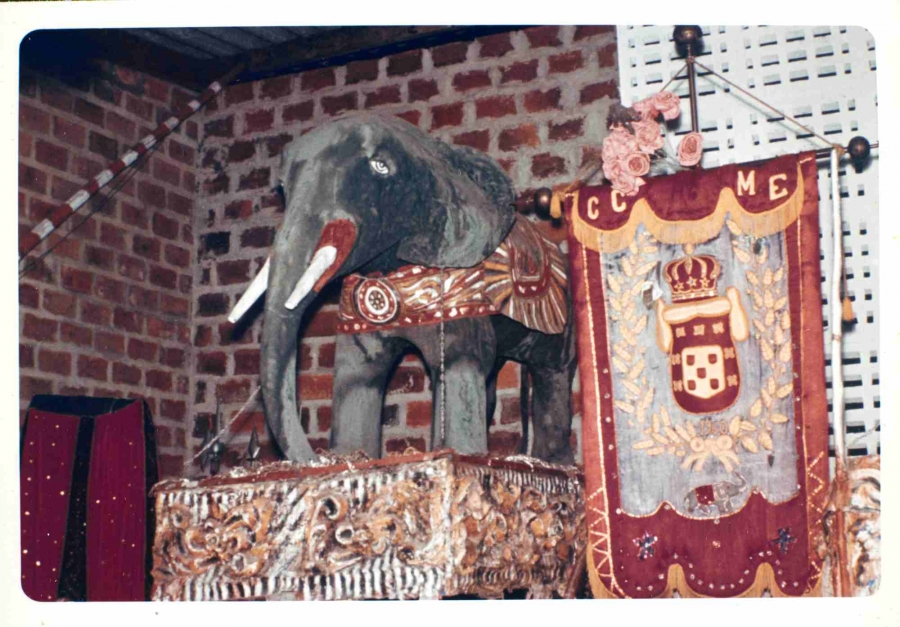 Elefante por Katarina Real